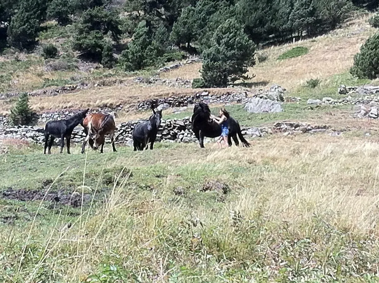 Les Truites - Peu Del Riu 102 Apartamento Incles Andorra